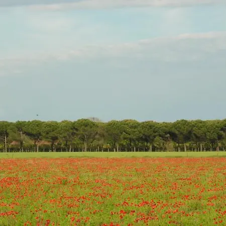 Apartamento Azalea